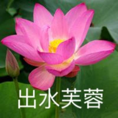 大赤壁破解版下载
